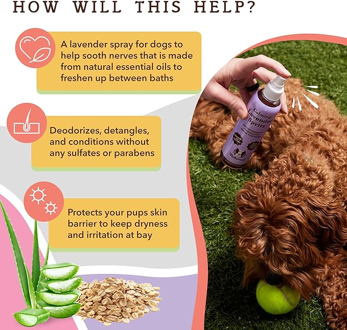 Natural Dog Company Calming Lavender Spritz for Dogs, 8oz – Deodorizing & Moisturizing, Soothes Skin, Conditions Coat, Hypoallergenic, Alcohol-Free, USA Made