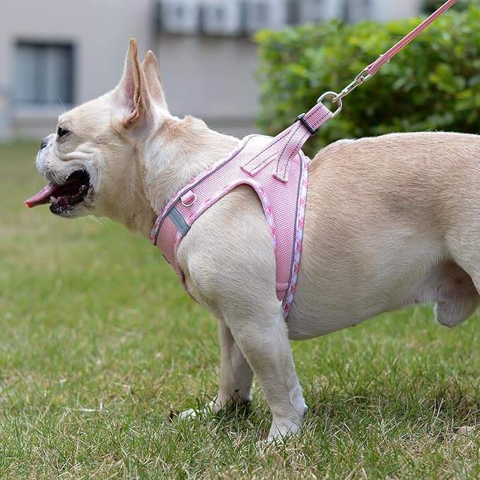 Mercano Soft Mesh Dog Harness and Leash Set, No-Chock Step-in Reflective Breathable Lightweight Easy Walk Escape Proof Vest Harnesses with Safety Buckle for Small Medium Dogs, Cats (Pink, XL)