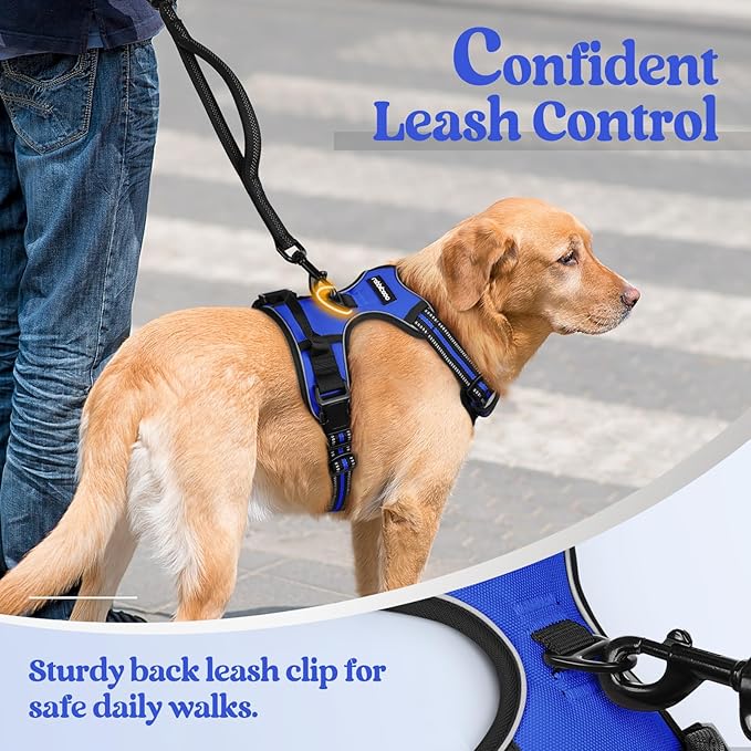 rabbitgoo Dog Harness, No-Pull Pet Harness with 2 Leash Clips, Adjustable Soft Padded Dog Vest, Reflective No-Choke Pet Oxford Vest with Easy Control Handle for Small Dogs, Dazzling Blue, S