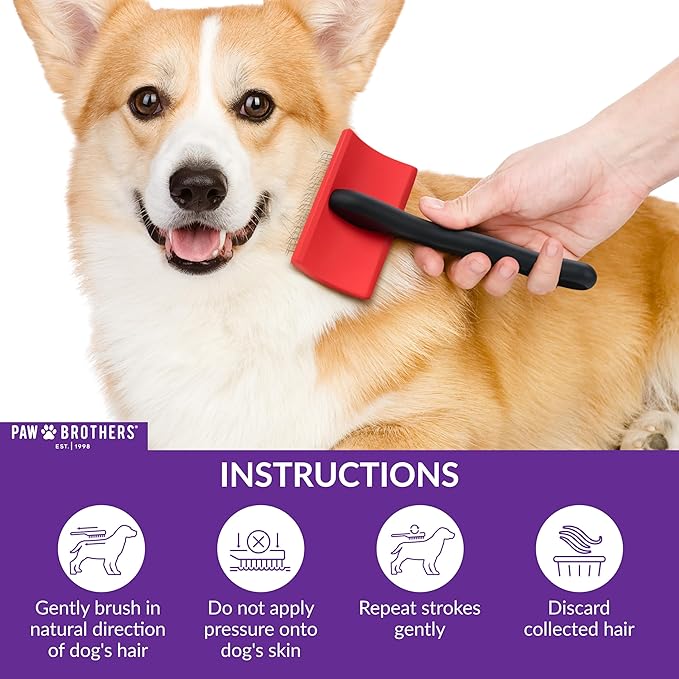 Paw Brothers Medium Slicker Brush for Doodles, Goldendoodles, Poodles - Grooming Brush for Long and Short Haired Dogs
