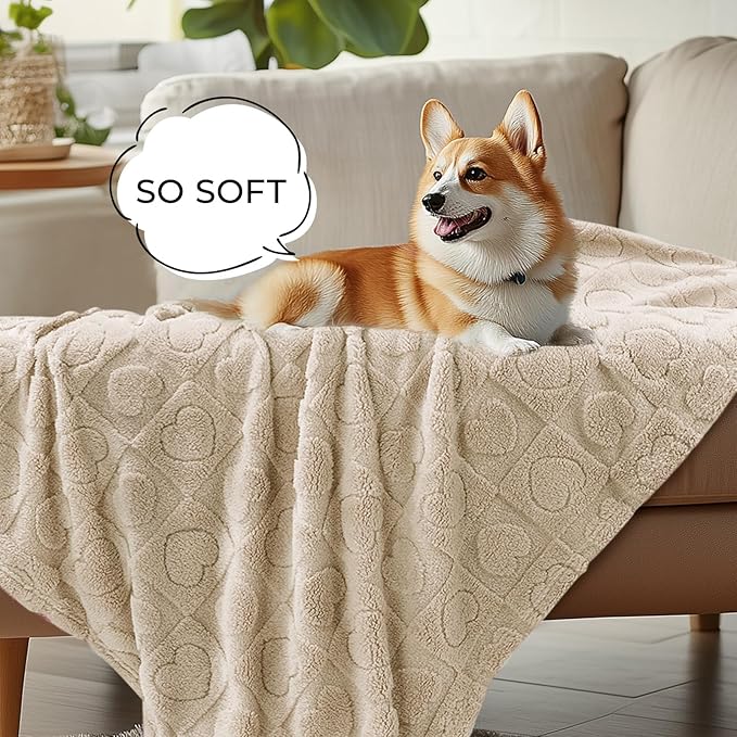Luciphia Small Dog Blanket Washable Pet Bed Cover Soft Fluffy Puppy Blanket with Premium Fleece Cozy Calming Cat Blankets for Indoor Cats Beige 30x20 inch