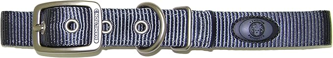 Hamilton Double Thick Nylon Deluxe Dog Collar with Brushed Hardware Finish, 1-Inch by 20-Inch, Graphite