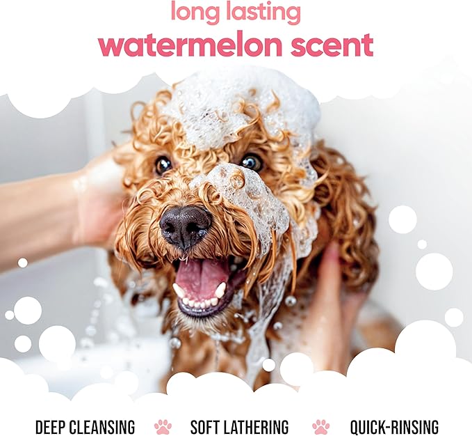 Watermelon Dog Shampoo | For Smelly Dogs From 8 Weeks | Henry's House Scented Puppy With Aloe Vera & Pro Vitamin B5 (50.72oz)