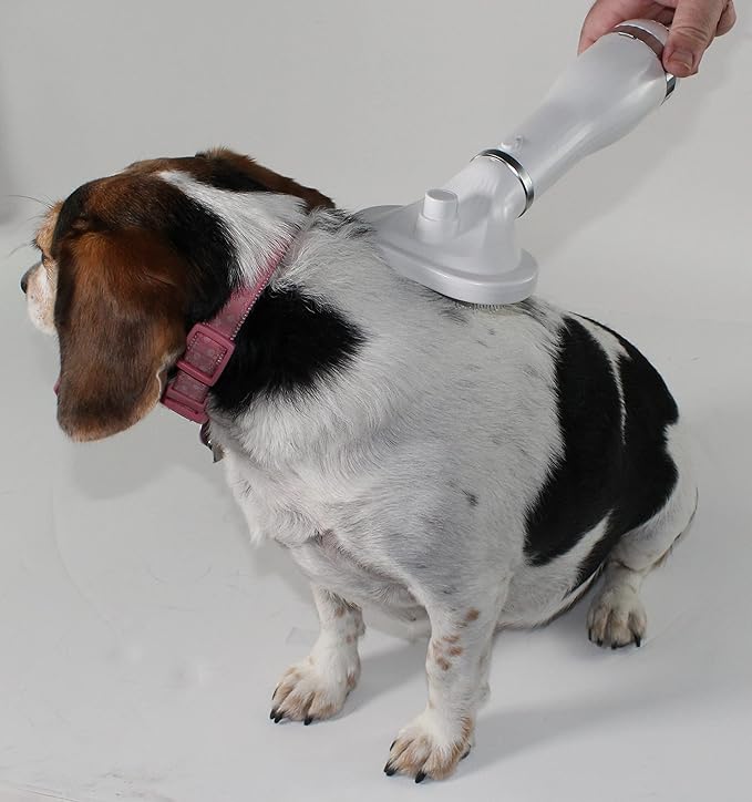 Penn-Plax Quick-Dry 2 in 1 Pet Grooming Tool – Doubles as a Dryer and Slicker Brush with 3 Air/Heat Settings – Safe for All Dogs and Cats