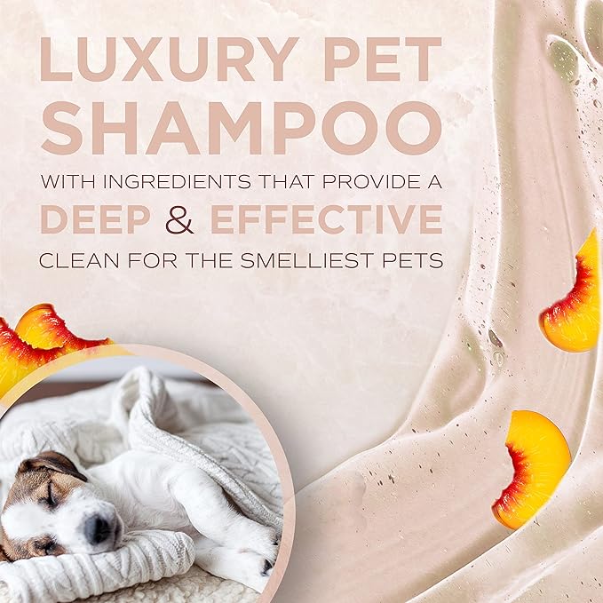 TropiClean SPA Lavish Dog Shampoo | Sporty Scented For Him Deodorizing Dog Shampoo | Naturally Derived Salon Grade Ingredients | Made in the USA | 1 Gallon