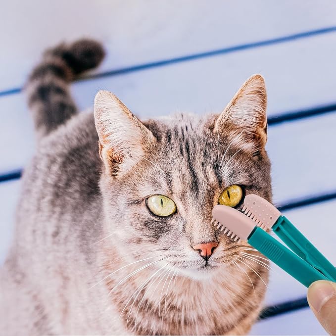 POPETPOP 2 Pcs Pet Eye Comb Tear Tool - Multifunctional Cat Eye Comb Brush, Dog Grooming Combs for Dogs Cats Removing Crust and Mucus