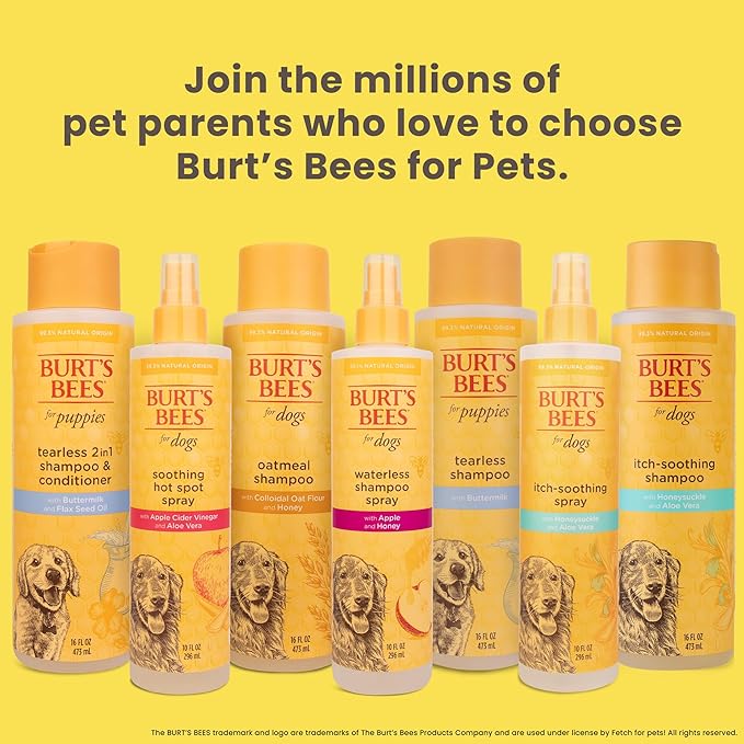 Burt's Bees for Pets Tearless Puppy 2-in-1 Shampoo and Conditioner with Buttermilk and Linseed Oil, 2pk, 95% Natural Origin Formulas, Best Gentle Shampoo for Puppies - Tear Free, 16 oz - 6 Pack