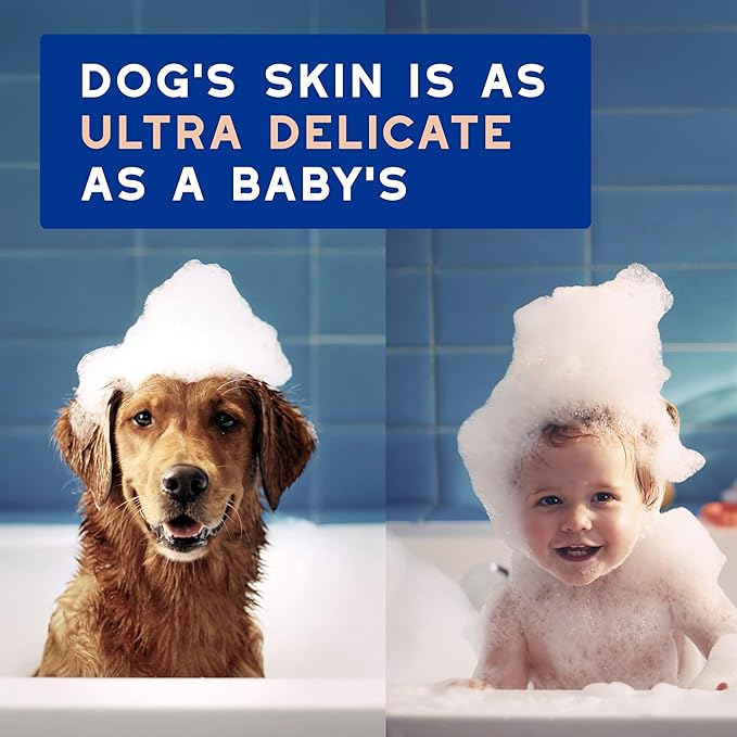 DOUXO® Skin & Coat SPA - Ultra-Safe Dog Shed Control Shampoo, 16 fl oz, Reduces Excessive Shedding, Cleans and Hydrates The Skin, Leaves The Coat Soft, Strengthened and Radiant, Skin-Friendly Formula