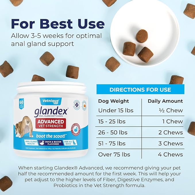 Glandex Anal Gland Soft Chew Treats with Pumpkin for Dogs Digestive Enzymes, Probiotics Fiber Supplement for Dogs Boot The Scoot (Advanced Strength Duck/Bacon Chews (Vegetarian), 60ct)