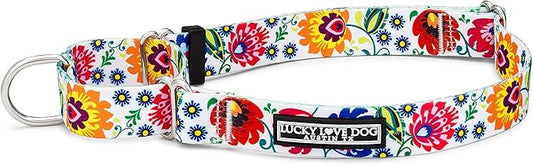 Lucky Love Dog Martingale Dog Collar - Adjustable, No-Slip, Durable, & Soft Webbing Dog Collar for Male and Female Dogs Ideal for Training & Walking - Stylish Ladybird Pattern, Medium Size