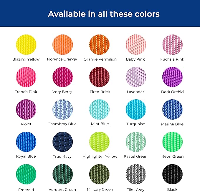 Blueberry Pet Essentials Martingale Safety Training Dog Collar, Highlighter Yellow, Large, Heavy Duty Nylon Adjustable Collars for Dogs