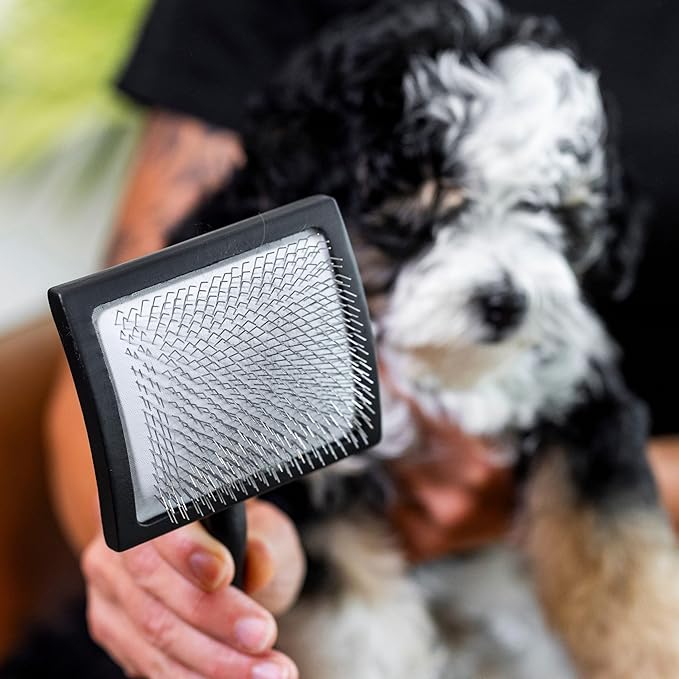 Slicker Brush for Dogs | Professional Dog Shedding Brush and Grooming Comb for Small Dog Breeds and Puppies | Ergonomic and Removes Shedding and Tangled Hair for Shiny Coat - Black