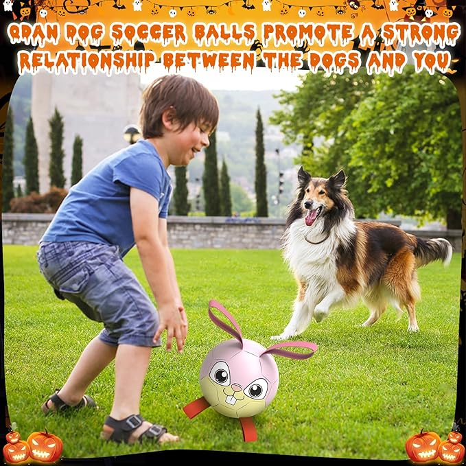 QDAN Rabbit Dog Toys Soccer Ball with Straps, Easter Day Dog Toys for Medium Small Dogs, Interactive Dog Balls for Tug of War, Herding Dog Ball Toys Outdoor Indoor (6 Inch)