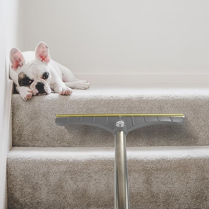 Stainless Steel Carpet Rake for Pet Hair Removal, Reusable Cat Dog Hair Remover with 47’’ Adjustable Long Handle Advanced Lint Remover Scraper for Carpets, Rugs, Mats, Furniture (Grey)