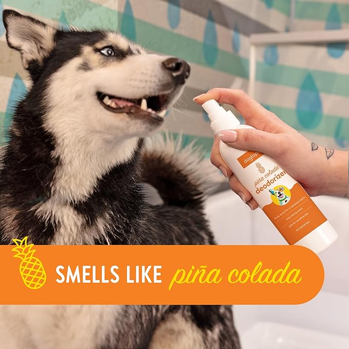 Deodorizer Spray for Pets | 8oz Long-Lasting Piña Colada Odor Eliminator for Dogs | Gentle Water - Based Pet Deodorizing Spray