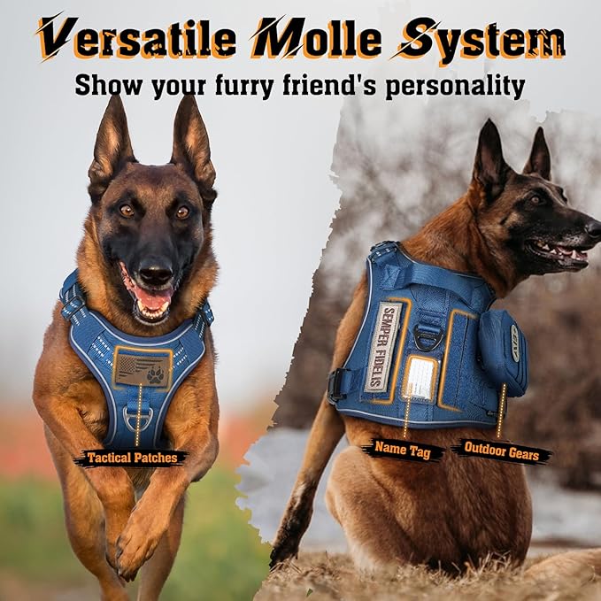 rabbitgoo Dog Harness for Large Dogs No Pull, Tactical Service Dog Vest with Molle and Control Handle, Adjustable and Reflective Military Pet Harness for Easy Walking and Training, Blue, XL