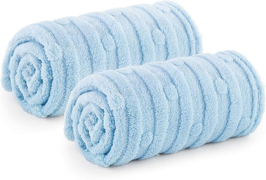 Bedsure 1 Pack 2 Dog Blankets for Small Dogs - 2pcs Washable Soft Fluffy Puppy Blanket with Premium 300GSM Coral Fleece, Cozy Cat Blankets for Indoor Cats, Fuzzy Pet Blanket for Kitten Doggy, Blue