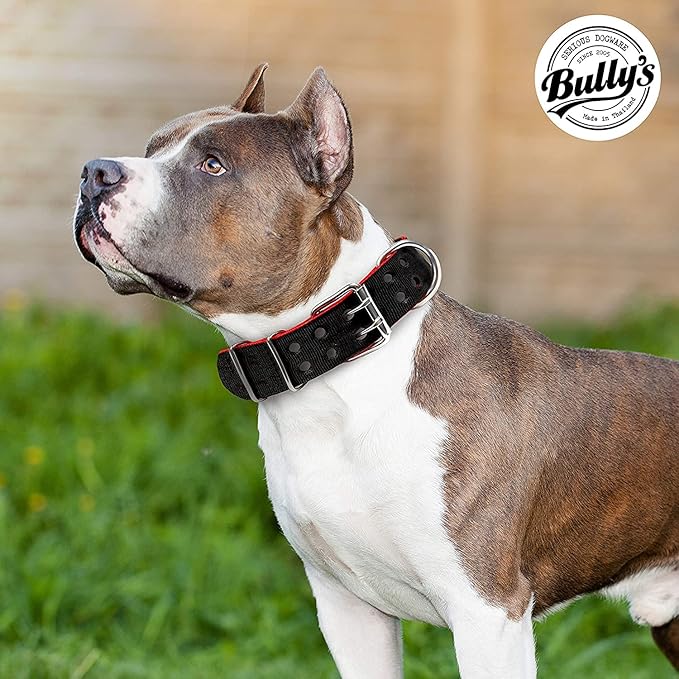 Pit Bull Collar, Dog Collar for Large Dogs, Heavy Duty Nylon, Stainless Steel Hardware (Large, Black with Red Trim)