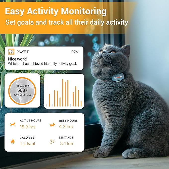 Lite for Cats 4g GPS Tracker | Real Time Tracking | Activity Monitoring |Location History | Unlimited Range | Safety Collar Included | Onyx Black