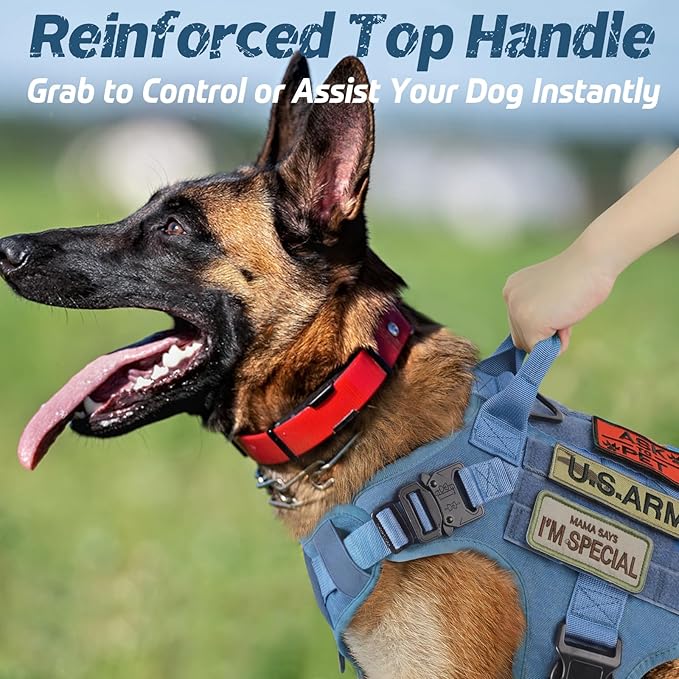 rabbitgoo Tactical Dog Harness for Large Dogs, Heavy Duty Dog Harness with Handle, No-Pull Service Dog Vest Large Breed, Adjustable Military Dog Vest Harness for Training Hunting Walking, Blue, L