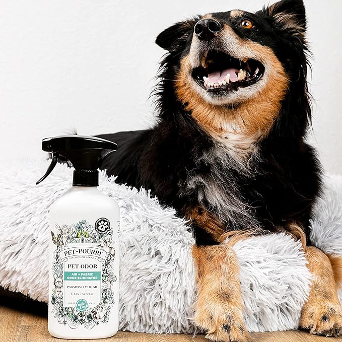 Pet-Pourri Pawsitively Fresh Pet Odor Bundle - 16 Fl Oz Air and Fabric Freshener Spray and 7.5 Oz Candle – Jasmine, Fresh Air and Pear