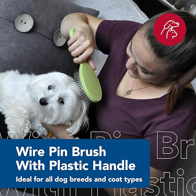 Coastal Pet Safari Wire Brush with Plastic Handle - Grooming Brush for Short and Long Pet Hair - No-Slip Handle - Compatible with Safari Tools - 8.5" x 2.06"