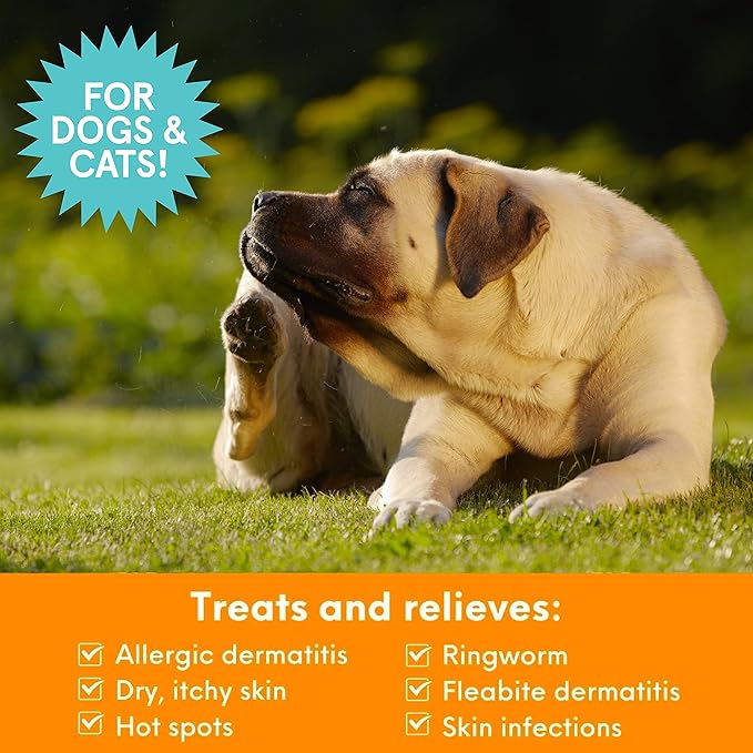Nootie Medicated Pet Shampoo, Dog Shampoo, Cat Shampoo, Formulated for Veterinarians, Sold in over 10,000 Vet Clinics Worldwide - 16oz