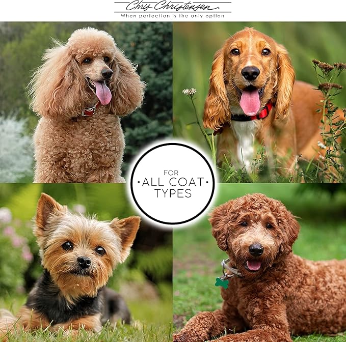 Chris Christensen Horse Hair Chalk Brush for Dogs, Groom Like a Professional, Even Applicaiton, Great for Face or Feet, 100% Horse Hair, Made in Germany