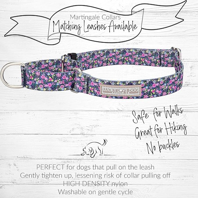 Lucky Love Dog Martingale Collar and Leash Set, Premium No Slip Collar for Small Dogs, Flower Martingale Collar for Girl Dogs, Great for Whippets, Greyhounds, and More (Primrose, Small - Combo)