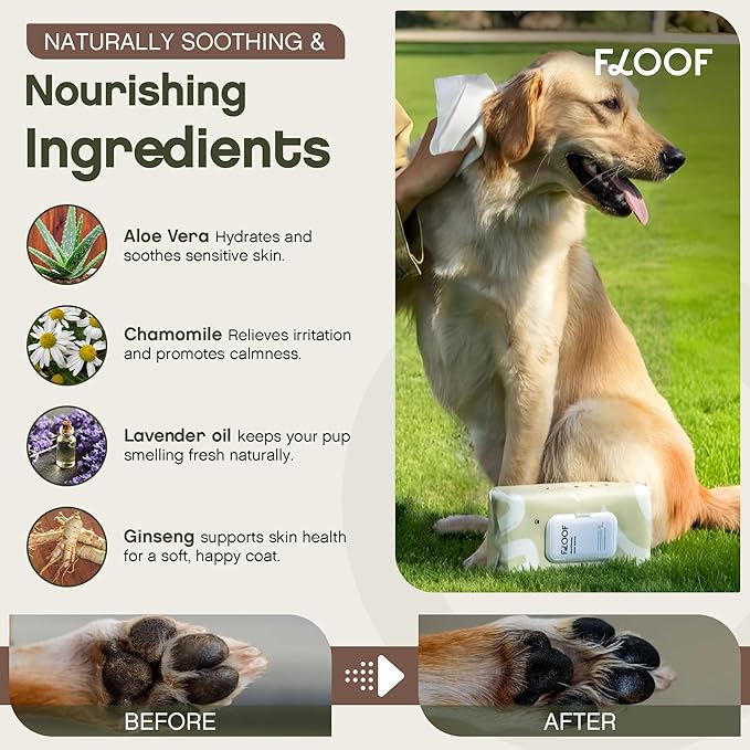 Hypoallergenic Renewing Dog Wipes - Grooming Natural Fresh Aloe Wipes for Paws, Face, Skin, Eyes, Ears, Butt - Perfect for Puppy & Adult Dogs - Vet Dermatologist Formulated - Extra Thick (72 Count)
