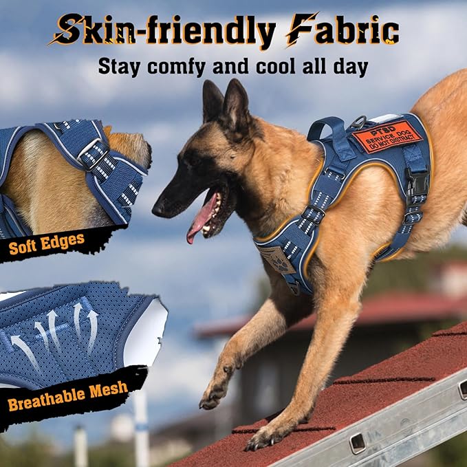 rabbitgoo Dog Harness for Large Dogs No Pull, Tactical Service Dog Vest with Molle and Control Handle, Adjustable and Reflective Military Pet Harness for Easy Walking and Training, Blue, XL
