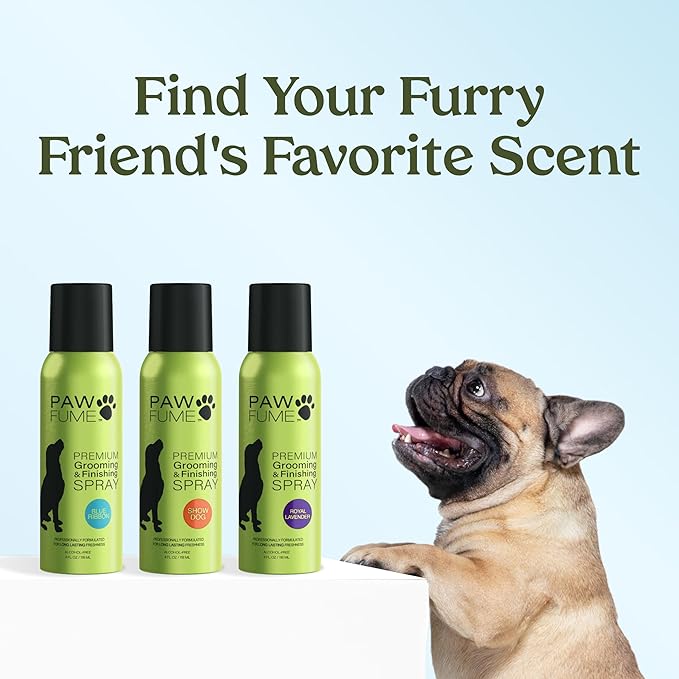 PAWFUME Dog Perfume Spray for Grooming, Blue Ribbon, 4-Pack – Keep Your Pup Fresh All Day – Probiotic, Alcohol-Free, Detangling & Moisturizing – Salon-Quality Dog Spray Deodorizer Perfume