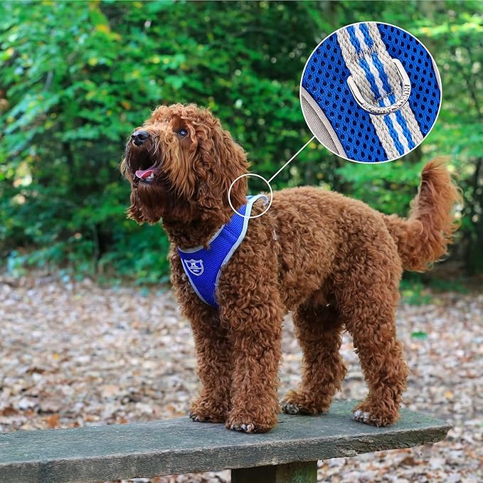 HUGO & HUDSON Dog Harness No-Pull Pet Harness Adjustable Quick Dry Mesh Padded Vest, Royal Blue, XS