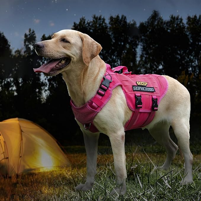 No Pull Dog Harness -Tactical Dog Harness - Breathable mesh, Pet Walking Hiking Training Vest- Dog Harness for Dogs, Service Dog, Large, Pink