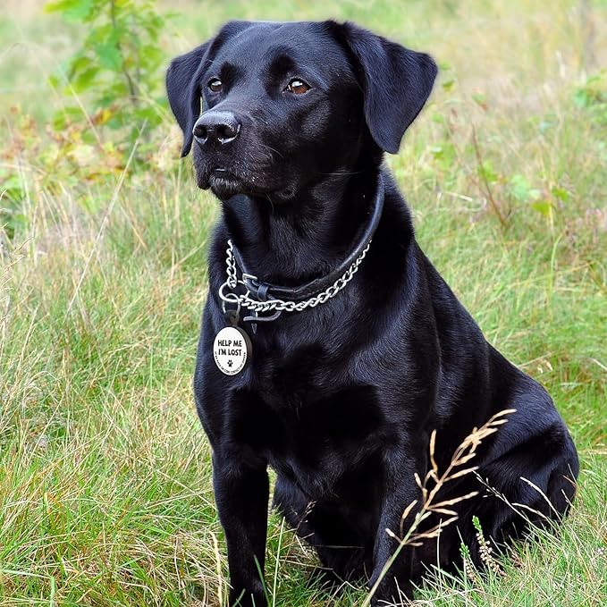 MYLUCKYTAG Silent Silicone QR Code Pet ID Tags Dog Tags - Pet Online Profile - Scan QR Receive Instant Pet Location Alert Email