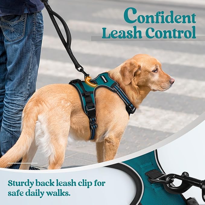rabbitgoo Dog Harness, No-Pull Pet Harness with 2 Leash Clips, Adjustable Soft Padded Dog Vest, Reflective No-Choke Pet Oxford Vest with Easy Control Handle for Small Dogs, Blue Coral, S