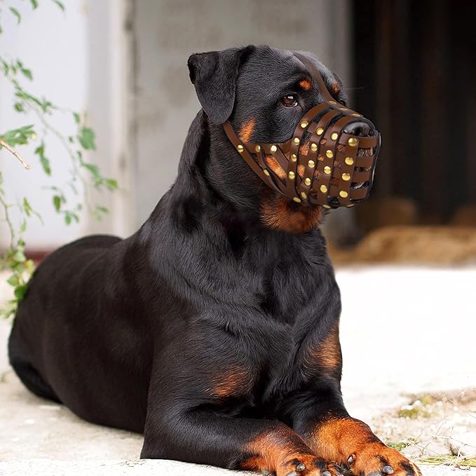 OOPSDOGGY Rottweiler Dog Muzzle for Large Dogs - Leather Breathable Secure Basket Muzzle for Large Breeds Prevents Biting No Chewing Adjustable (Brown, Size 5 - Rottweiler)