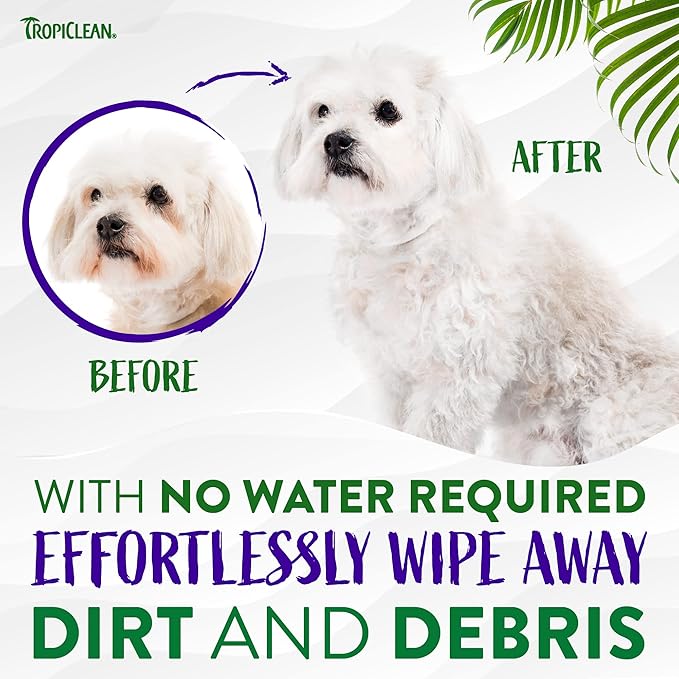 TropiClean Warm Vanilla Waterless Facial Cleanser for Dogs | Dog Foam Face Wash | Dog Face Wash Derived from Natural Ingredients | Cat Friendly | Made in the USA | 7.4 oz.