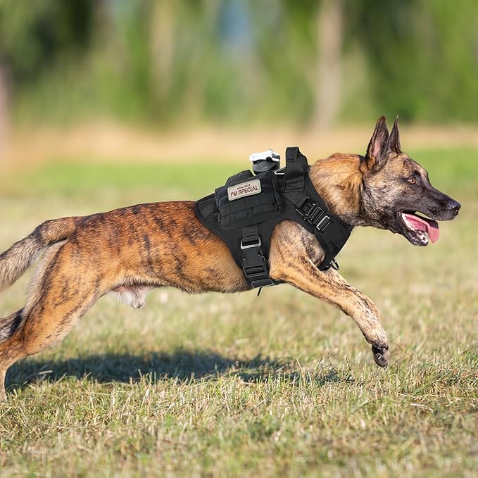 rabbitgoo Tactical Dog Harness for Large Dogs, Heavy Duty Dog Harness with Handle, No-Pull Service Dog Vest Large Breed, Adjustable Military Dog Vest Harness for Training Hunting Walking, Black, XL