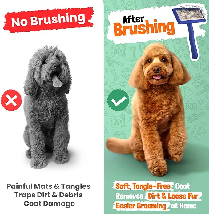 Slicker Brush for Dogs - Doodle Brush - Goldendoodles Labradoodles Bernedoodles - Goldendoodle Must Haves - Poodle Comb and Cases Included - Medium - Blue