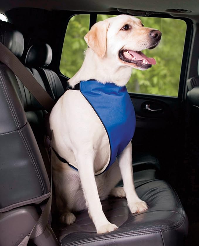 Guardian Gear Nylon Lift & Lead 4-in-1 Dog Harness, Large, Blue
