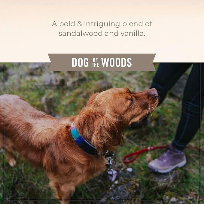 SKOUT'S HONOR Pet Deodorizer Spray- Hydrating Daily-Use with Avocado Oil & Omega-3s, Paraben & Sulfate-Free, 97% Natural, 8oz, Dog of The Woods