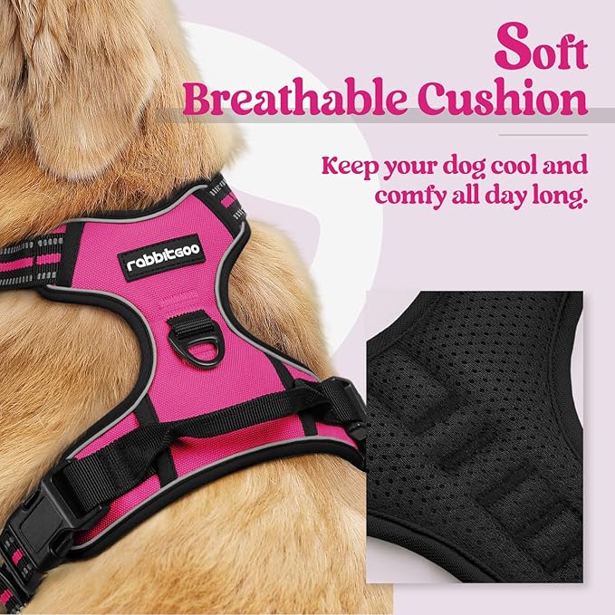 rabbitgoo Dog Harness, No-Pull Pet Harness with 2 Leash Clips, Adjustable Soft Padded Dog Vest, Reflective No-Choke Pet Oxford Vest with Easy Control Handle for Small Dogs, Hot Pink, S