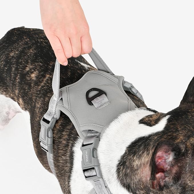 Puppia Jarek Dog Harness H Comfortable Sturdy Handle Adjustable Neck and Chest for Small and Medium Dogs - Grey - XL