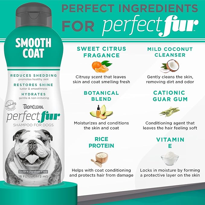 TropiClean Perfect Fur Deshedding Dog Shampoo for Breeds with Smooth Coats like Boxers, Bulldogs, Pointers, and Greyhounds, Natural Moisturizing Shampoo for Dry Flaky Skin, Puppy Safe, 16oz.