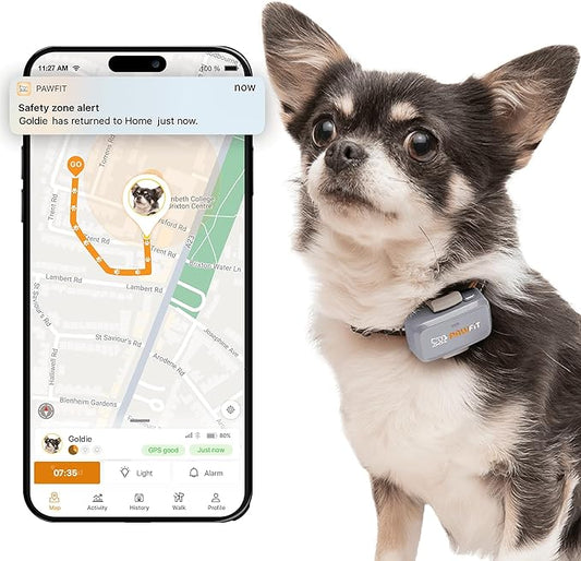 Lite for Small Dogs 4g GPS Tracker | Real Time Tracking | Activity Monitoring |Location History | Unlimited Range | Lilac Grey
