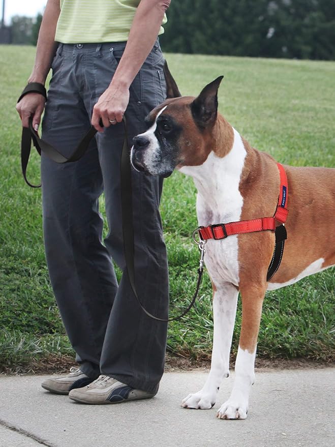 PetSafe Easy Walk Deluxe Dog Harness, No Pull Dog Harness – Perfect for Leash & Harness Training – Stops Pets from Pulling and Choking on Walks – Medium/Large, Rose