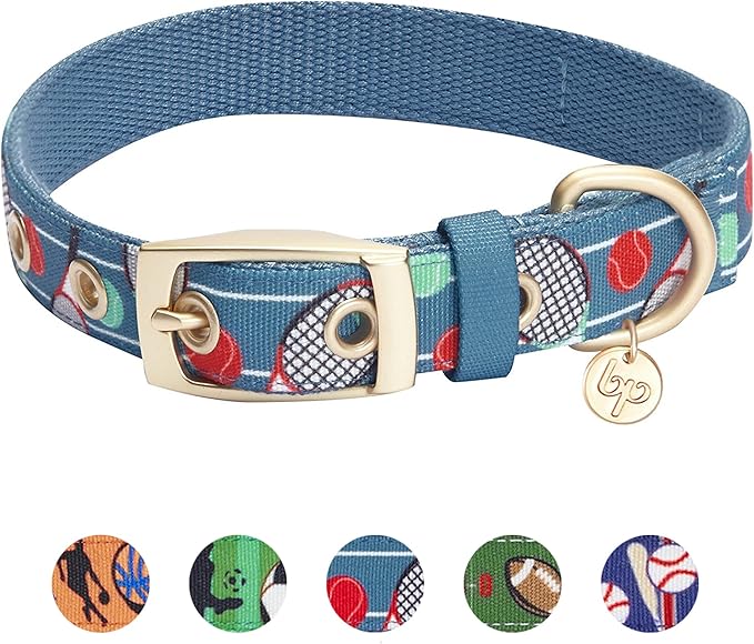 Blueberry Pet 5 Patterns Sports Fan Tennis Canvas Adjustable Dog Collar with Metal Buckle - Teal Blue, Neck 13-16.5", for Medium Breed