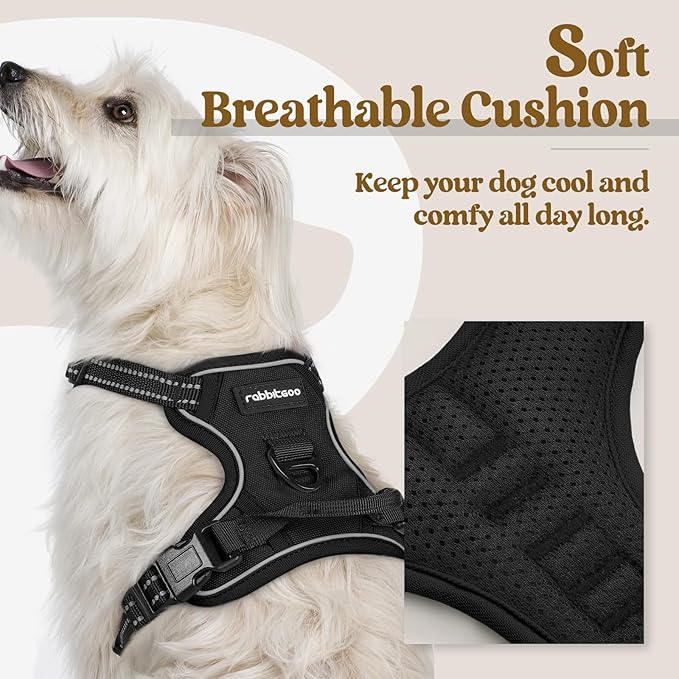 rabbitgoo Dog Harness, No-Pull Pet Harness with 2 Leash Clips, Adjustable Soft Padded Dog Vest, Reflective No-Choke Pet Oxford Vest with Easy Control Handle for Small Dogs, Black, X-Small