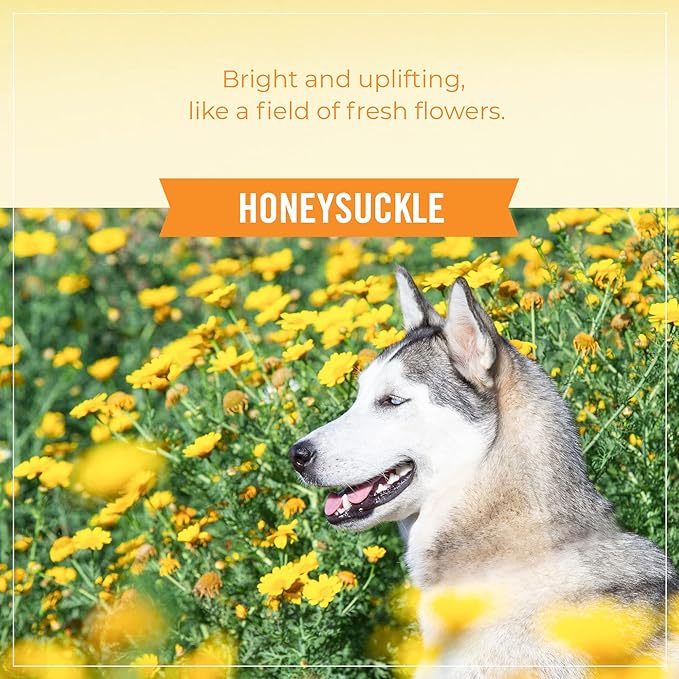 Skout's Honor Pet Deodorizer Spray- Hydrating Daily-Use with Avocado Oil & Omega-3s, Paraben & Sulfate-Free, 97% Natural, 8oz, Honeysuckle